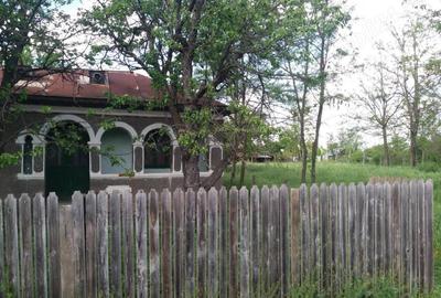 Casă cu 4 camere cu Teren 1450 Mp în Râmnicelu - 4