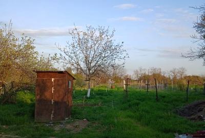 Casă cu 3 camere în Vădeni - 6