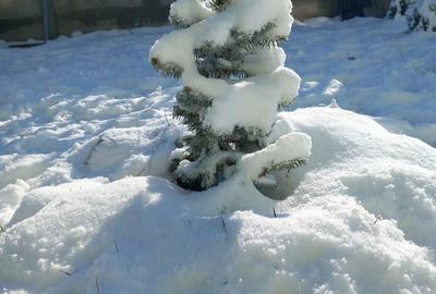 Apartament cu 2 camere decomandat în Craiovei - 1