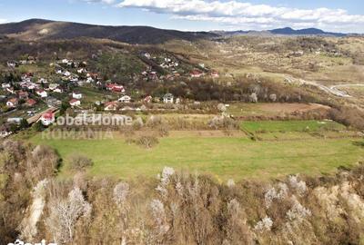 Teren de 23345 mp, în Cornu - 7