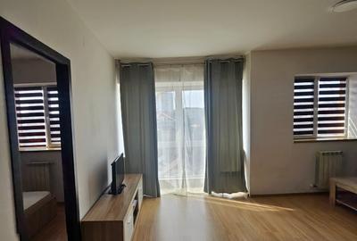 Apartament cu 2 camere semidecomandat, mobilat în Tătărași - 10
