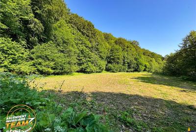 Spațiu comercial, în Valea Dobârlăului - 2