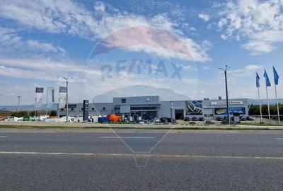 Teren Construcții intravilan de 4874 mp, în Nord - 2