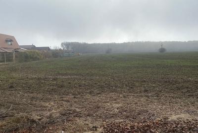 Spațiu comercial, în Ghermănești - 3