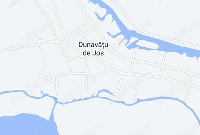 Teren de 1000 mp, în Dunavățu de Jos - 1