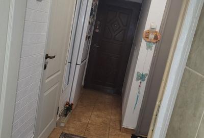 Apartament cu 2 camere decomandat în Roșu - 8