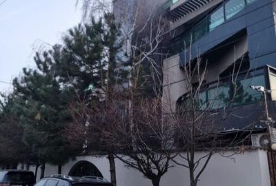 Spațiu comercial, de 350 mp, în Colentina - 30