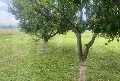 Teren extravilan 10 ari cu Cabana de 45 mp - 10