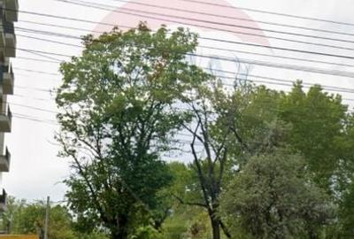 Teren investitii Constanta / Soseaua Mangaliei - 13