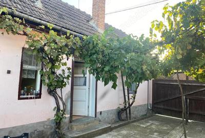 Casă cu 3 camere în Dobârca - 1