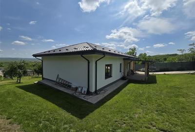 Casa  - Panoramic Probota - 14