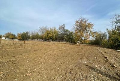 Teren în Viforâta - 8