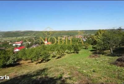 Teren de 10537 mp, în Bogdănești - 13