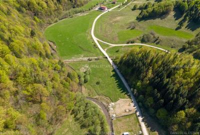 Teren Construcții extravilan de 1893 mp, în Plaiul Foii - 11