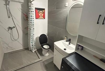 Apartament cu 3 camere decomandat, mobilat în Torontalului - 3
