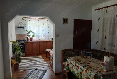Casă cu 3 camere cu Teren 1756 Mp în Chilia Veche - 4