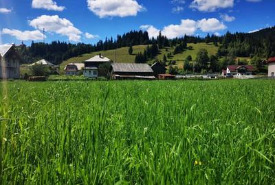 Spațiu comercial, în Ciocănești - 1