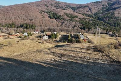 Teren intravilan la baza pădurii Valea Doftanei sat Traisteni (poduri) - 15