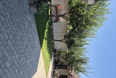 Casă cu 8 camere cu Teren 800 Mp în Central - 4