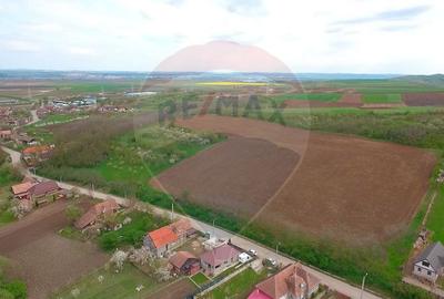 Teren intravilan de 34425 mp, în Bădeni - 12