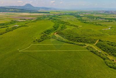 Teren de 10800 mp, în Râșnov - 13