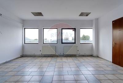 Birou, de 280 mp, în Bartolomeu - 22