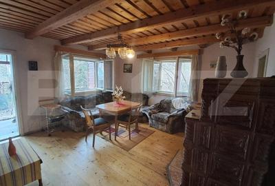 Cabana in colibita - 1