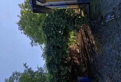 Casă cu 3 camere în Budacu de Jos - 3