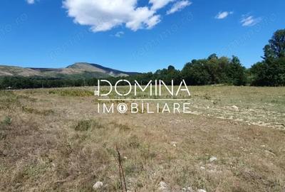 Spațiu comercial, în Runcu - 1