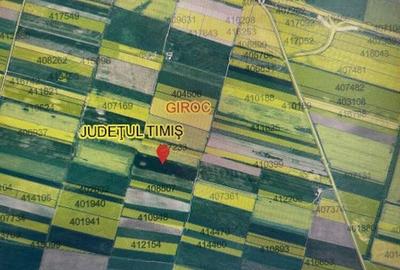 Teren de 10000 mp, în Giroc - 1