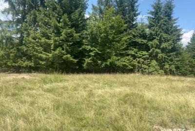 Teren de 33277 mp, în Central - 4