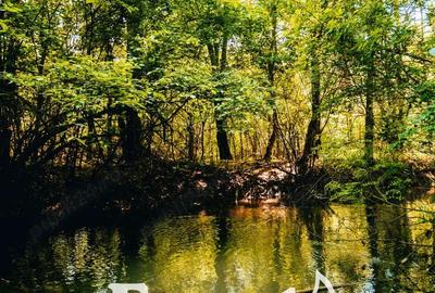 Teren de 720 mp, în Cocani - 3