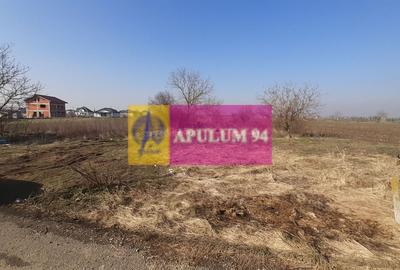 Teren Construcții intravilan de 1430 mp, în 1 Decembrie - 1