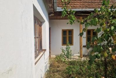 Terenuri arabile + teren intravilan cu casă – Teghea, Satu Mare Terenuri arabile + teren intravilan cu casă – Teghea, Satu Mare - 4