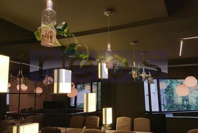 OPORTUNITATE VANZARE - INCHIRIERE VILA RESTAURANT | GRADINA ICOANEI | - 6