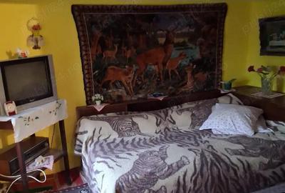 Casă cu 3 camere în Siliștea - 1