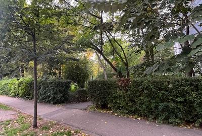 Proprietar, vând apartament 3 camere ultracentral Parc Botanic/Mall - 16