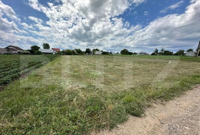 Teren de 3300 mp, în Central - 4