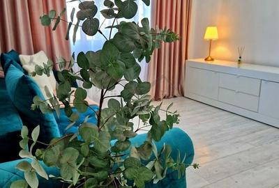 Apartament cu 2 camere semidecomandat, mobilat în Podu Roș