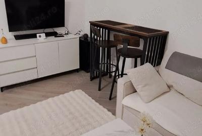 Garsonieră decomandată în Iosefin - 1