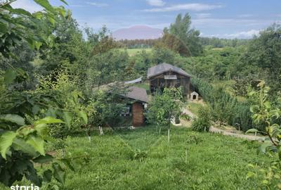 Casă cu 3 camere cu Teren 1268 Mp în Săpânța - 9