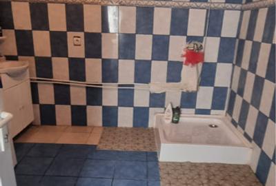 Casa in comuna Mihaile?ti sat nou