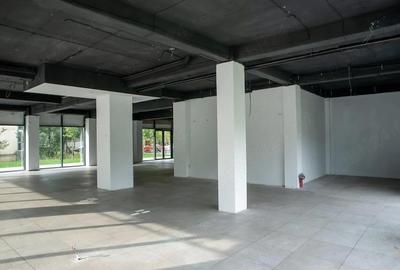 Spațiu comercial, de 56 mp, în Lipovei - 3