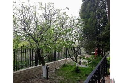 Vila de vanzare / Iancu Nicolae / Serban Cantacuzino - 5