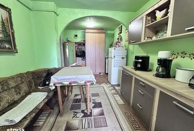 Apartament cu 2 camere decomandat, mobilat în Ampoi 3 - 9