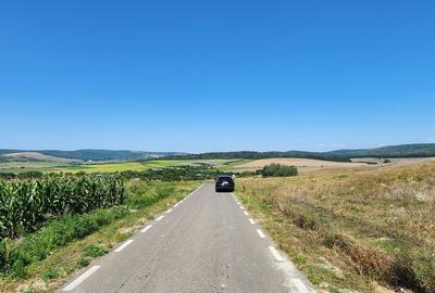 Spațiu comercial, în Scânteia - 2