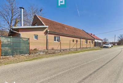 Casă cu 8 camere cu Teren 22919 Mp în Constantin Daicoviciu - 14