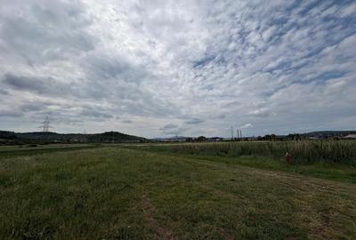 Teren Construcții intravilan de 4200 mp, în Crișeni - 1