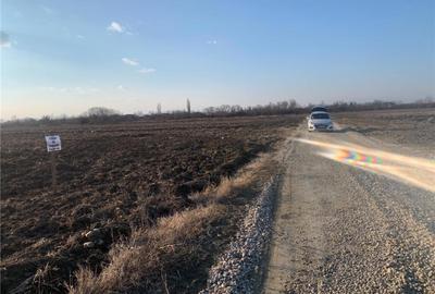 Teren de 4700 mp, în Stoenești - 3