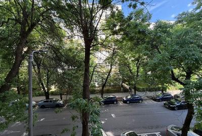 Apartament cu 2 camere decomandat în Parcul Circului - 4